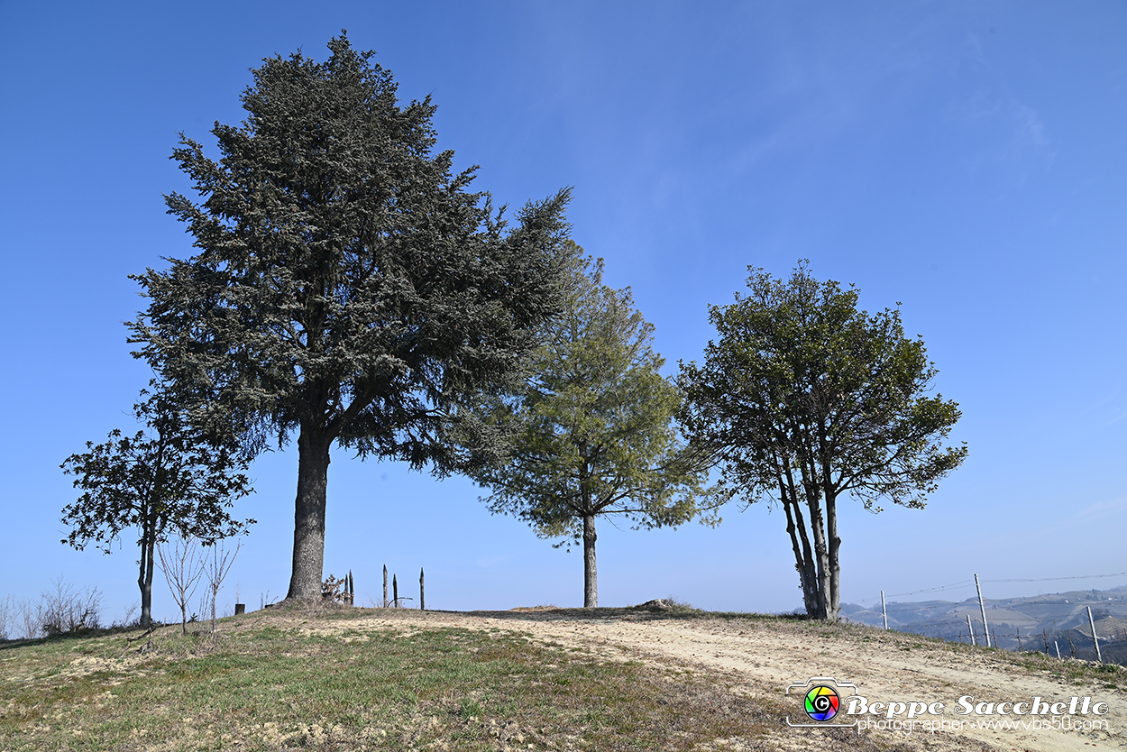 VBS_1134 - Santo Stefano Roero.jpg